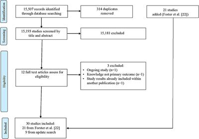 Quality of Stroke Patient Information Applied in Randomized Controlled Trials—Literature Review